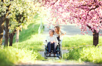 a care worker and an elderly lady in a wheelchair taking a stroll through a park on a sunny day with flower trees in bloom