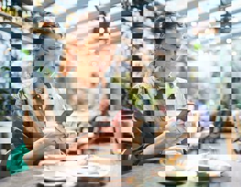 The QR Code Effect: How Tech is Transforming the Restaurant Industry