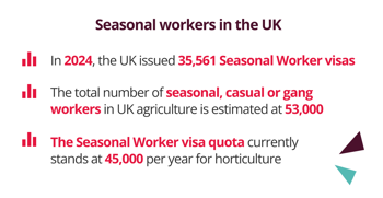 What is the UK Seasonal Worker Visa