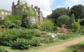 Chelsea Physic Garden Banner