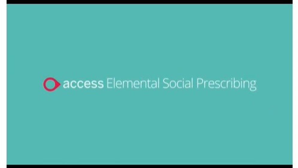Access Elemental Social Prescribing: What have Healthy Options achieved?