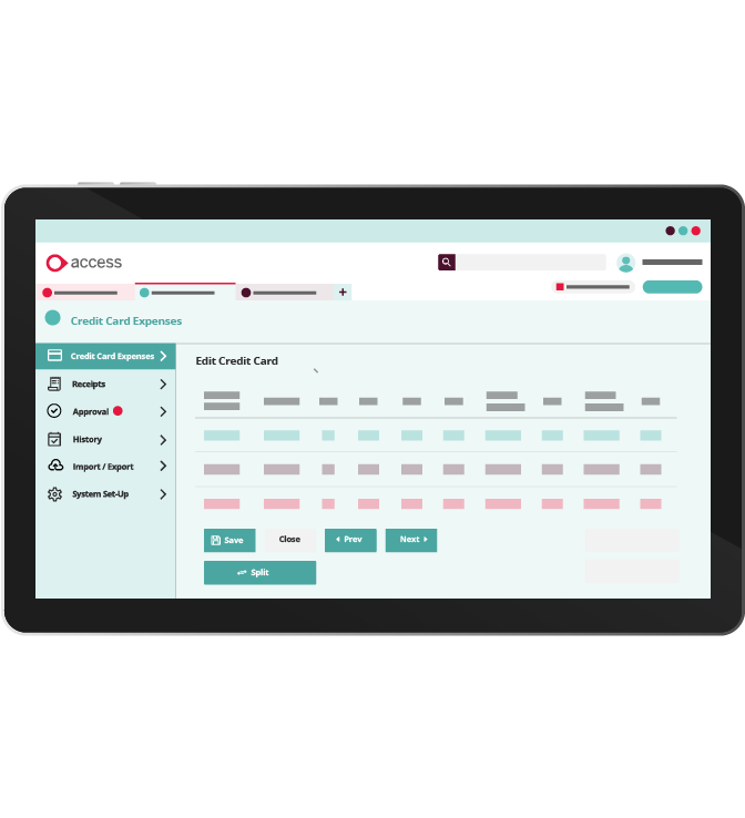 Access Database Expense System Expense Management Software - User-Friendly Expense System