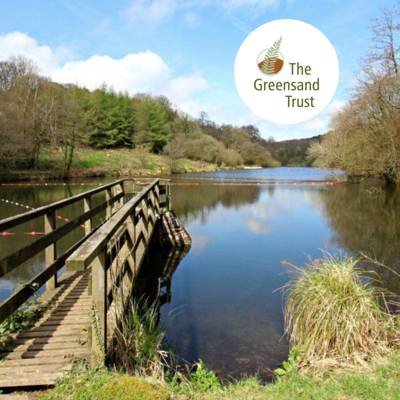 View of lake with board walk
