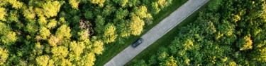 Car driving on a straight road between trees