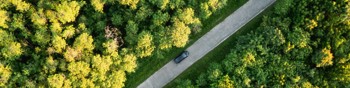 Car driving on a straight road between trees