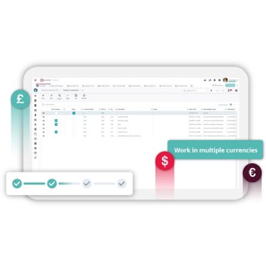 Cloud accounting multiple currencies on screen