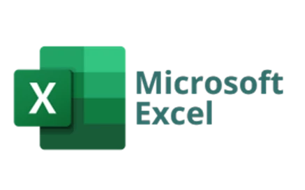 Microsoft Excel Logo X2