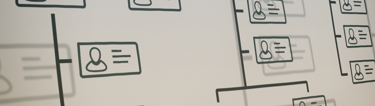 Accounting firm structures