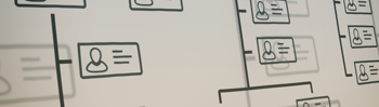Accounting firm structures