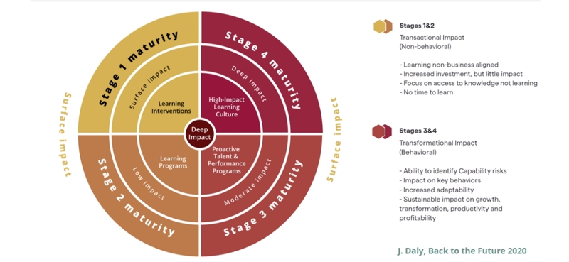 Understanding the L&D Maturity Model and business impact in 2024