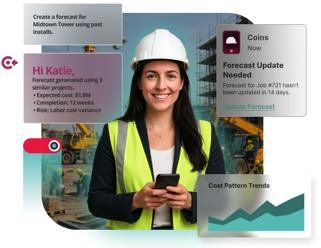 Project manager using Access Coins software