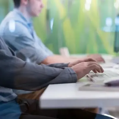 People working at desktop computers in an office environment