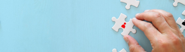 Accounting client profile