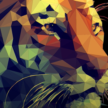 practice management software