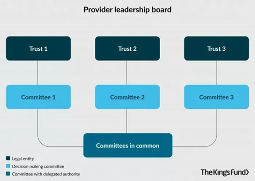 King's Fund graphic of a provider leadership board within a collaborative.