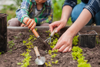 Young people being engaged in gardening work outdoors, as part of social prescribing.