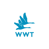 Clientlogos SQUARES 0242 WWT (1)