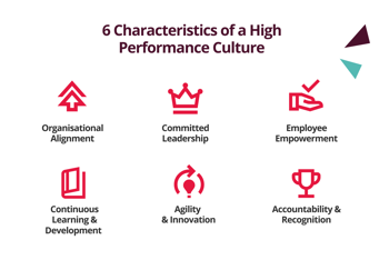 6 characteristics of a high-performance culture