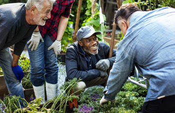 Adult men gardening as part of a social prescribing program to tackle loneliness.