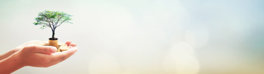 ESG reporting accounting firms