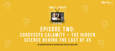 Blog image Round Table Science _The hidden science behind Traitors.