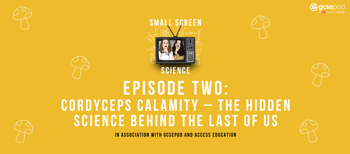 Blog image Round Table Science _The hidden science behind Traitors.