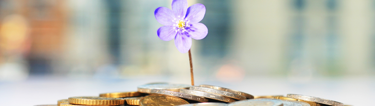 How to grow accounting practice